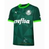 Officiële Voetbalshirt Palmeiras Thuis 2023-24 - Heren